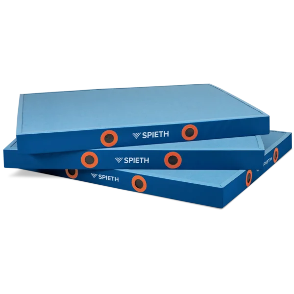 SPIETH Colchoneta recepción MOSCOW FIG 300x200x20 cm