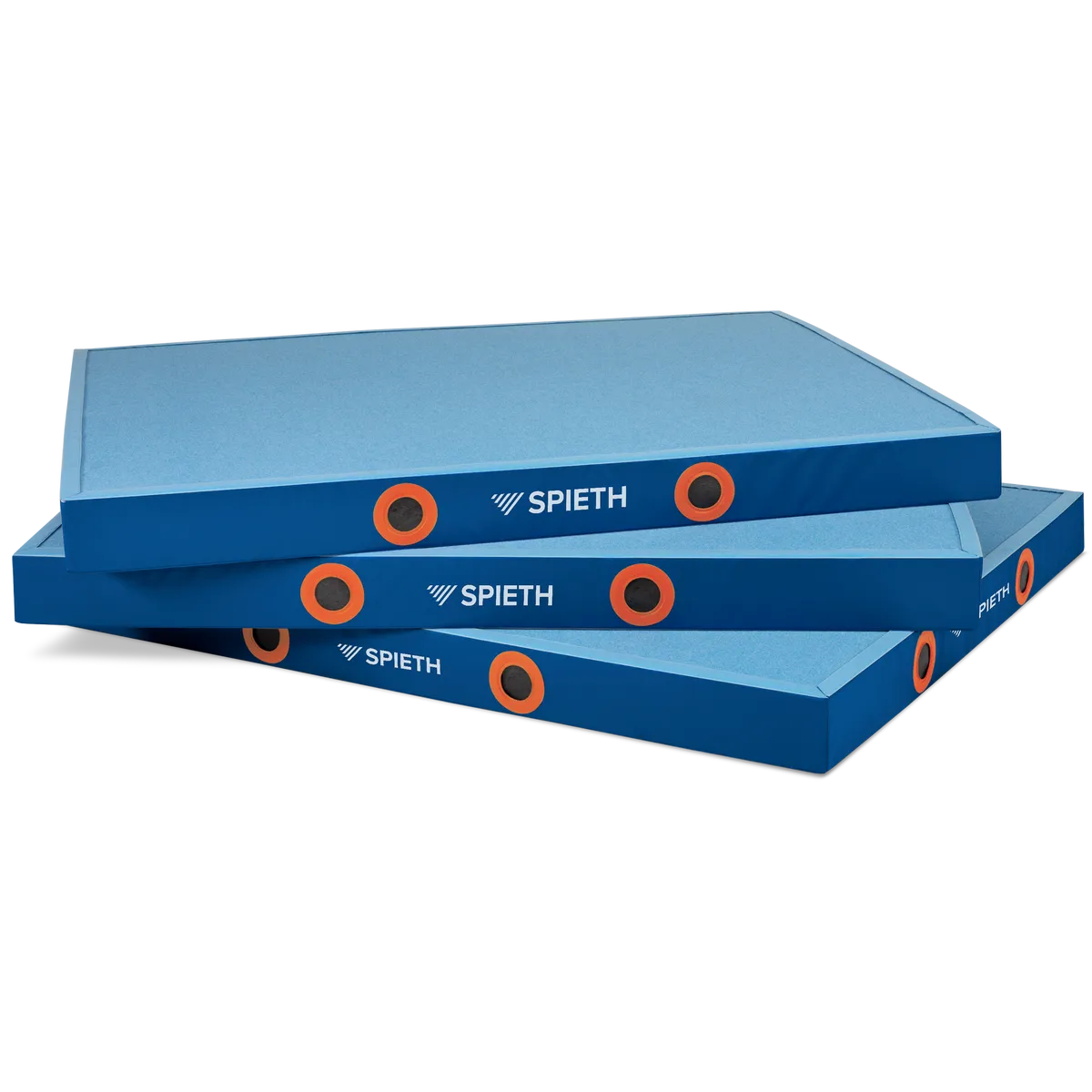 SPIETH Colchoneta recepción MOSCOW FIG 300x200x20 cm