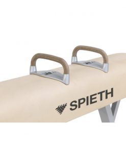 1407068-Pommel-horse-Junior-SPIETH-Gymnastics-2