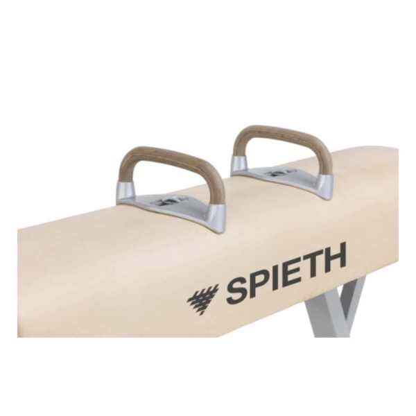 1407068-Pommel-horse-Junior-SPIETH-Gymnastics-2