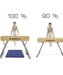 1407068-Pommel-horse-Junior-SPIETH-Gymnastics-3