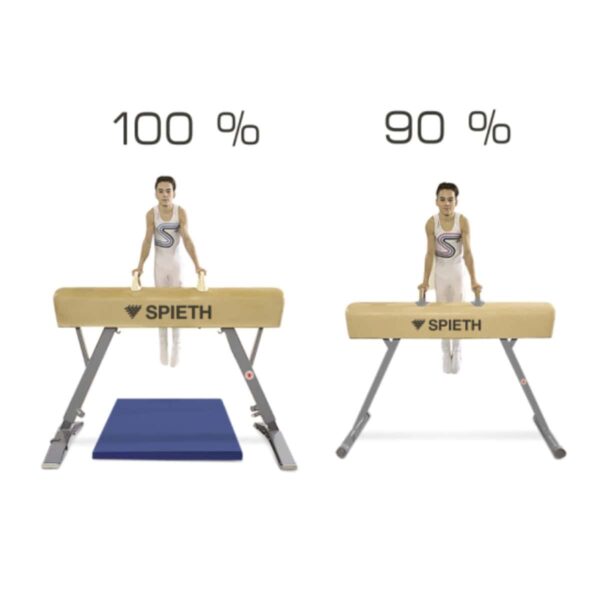 1407068-Pommel-horse-Junior-SPIETH-Gymnastics-3