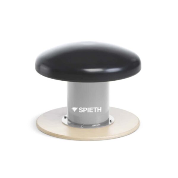 1395014-Champinon-Spieth