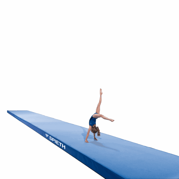 Tumbling Track SPIETH modelo 179220 Detalle 01