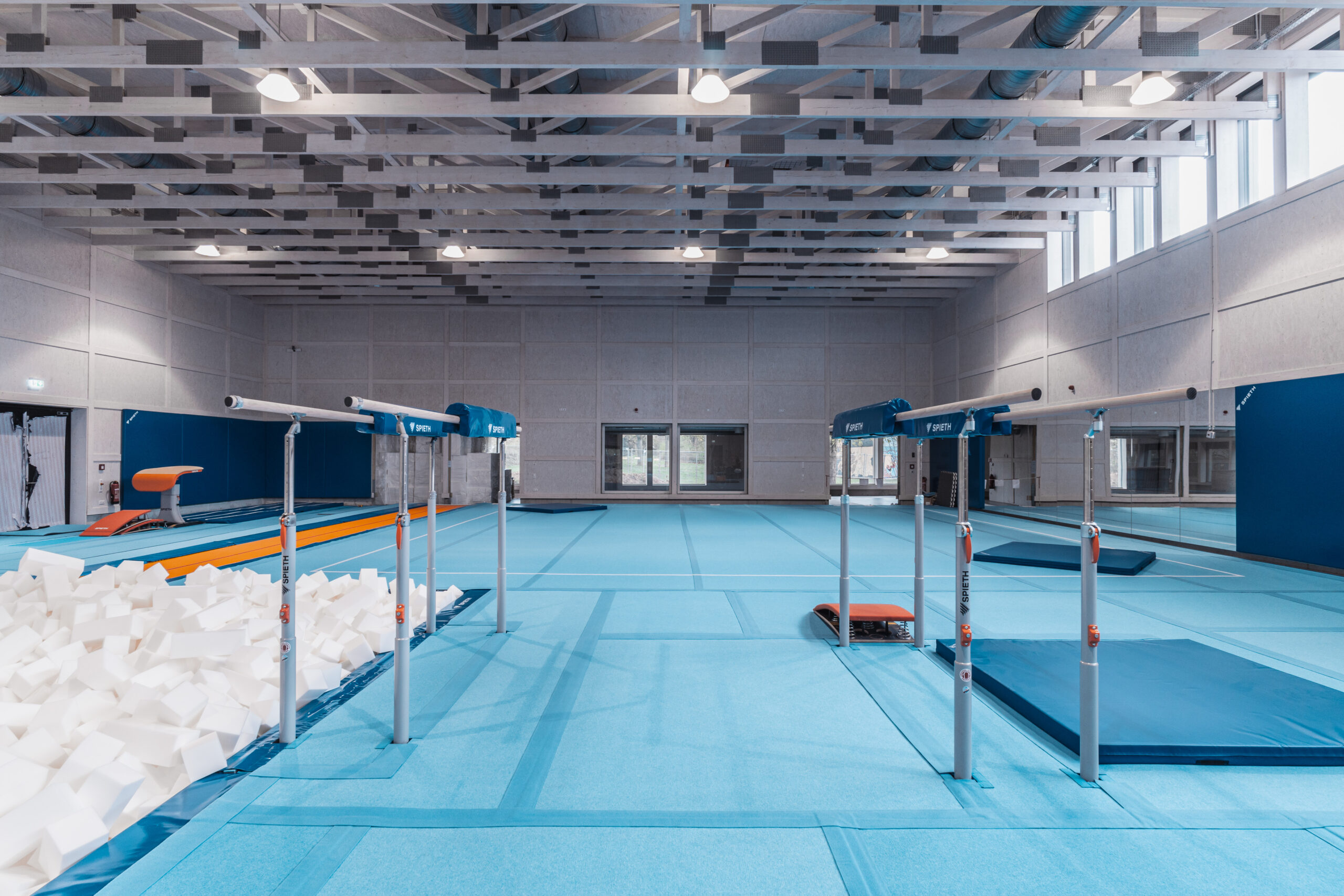 Barras paralelas SPIETH
