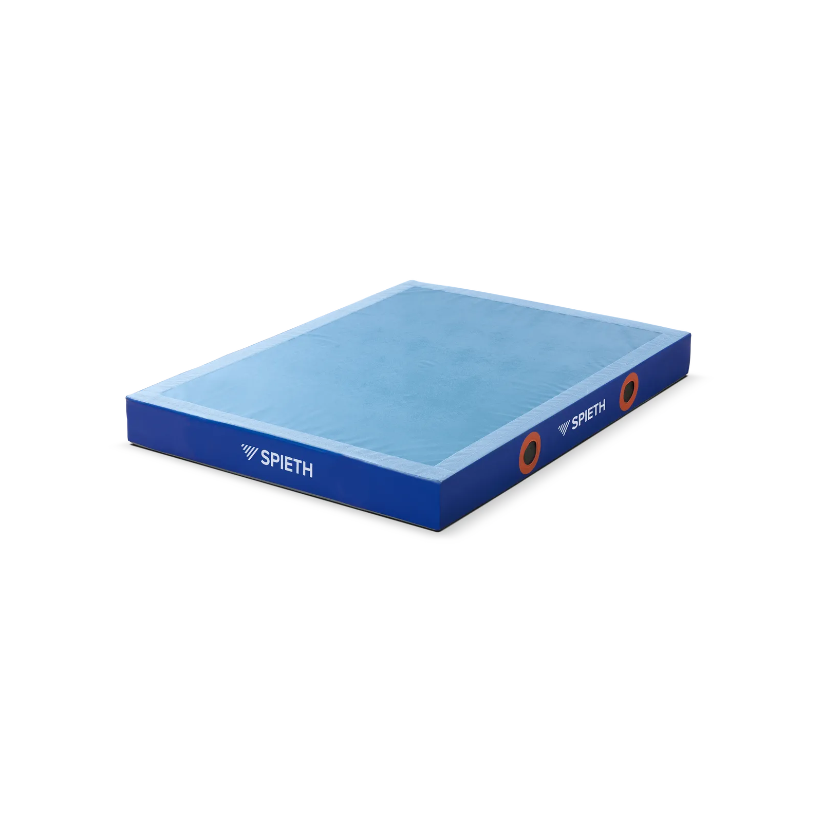 SPIETH Colchoneta recepción BASIC FIG 300x200x20 cm